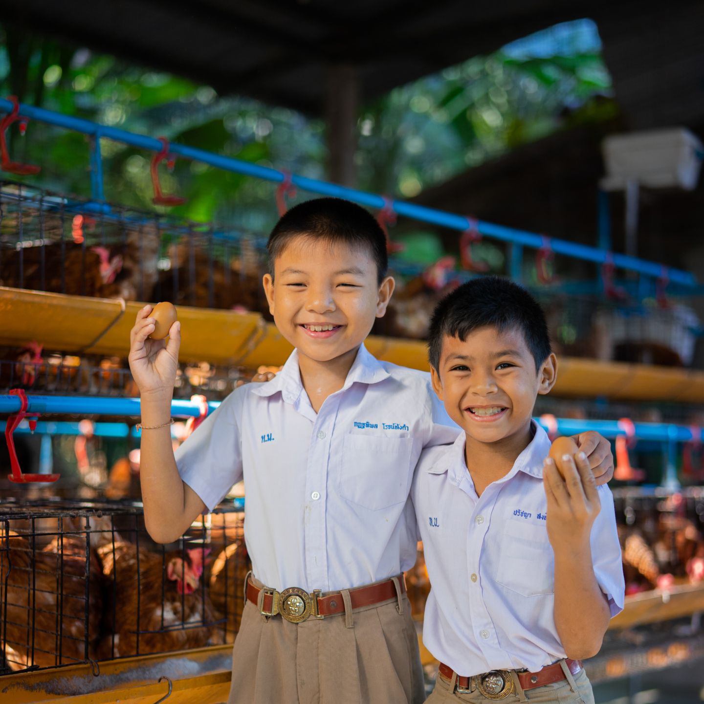 โรงเรียนพอเพียงเลี้ยงไก่ไข่...เศรษฐกิจพอเพียงกับการพัฒนาที่ยั่งยืน