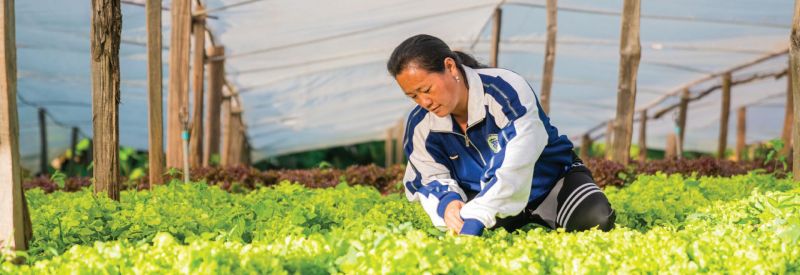 เกษตรอินทรีย์ ที่ภูทับเบิก จ.เพชรบูรณ์