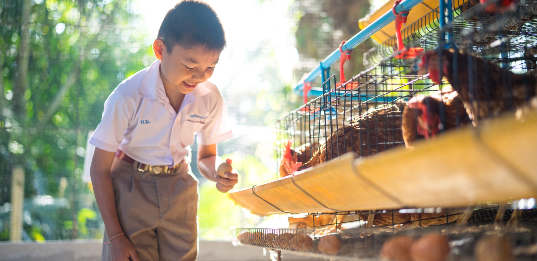 โครงการพอเพียงเลี้ยงไก่ไข่